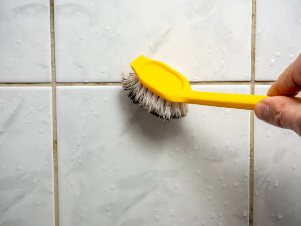Best Insurance-Related Mold Remediation in Edgewater, MD